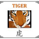 Close-up tiger cylinder lantern (template 4)