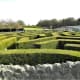 The maze at Leeds Castle.