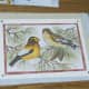 recycle-and-repurpose-old-greeting-cards