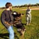 workingdogsinthenews