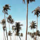 Such a paradise to savor