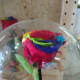 Multicoloured rose preserved with treatment