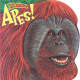 Apes (Know-It-Alls) by Carol Harrison
