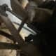 ford-expedition-rear-wheel-hubbearing-replacement