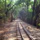 View from the toy train at Matheran