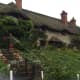 Traditional thatch roof cottage Isle of Wight