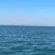 The shore line of Virginia Beach. It is just amazing that you can see the high-rise hotels and whales at the same time.