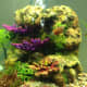 Freshwater tanks need to be cycled.