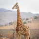 magical-destination-nairobi-national-park-nairobi