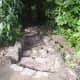 Narrow stone steps in Explorers' Garden where care is required