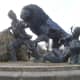 Representation of the attack on Livingstone by a lion in Africa. He claimed it shook him as, &quot;a terrier does a rat&quot;