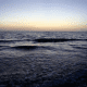 honeymoon-island-state-park-dunedin-florida-2