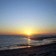 honeymoon-island-state-park-dunedin-florida-2