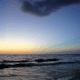honeymoon-island-state-park-dunedin-florida-2