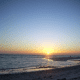 honeymoon-island-state-park-dunedin-florida-2