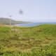 Looking north along the coast of the Sound of Islay towards Bunnahabhain (unseen)