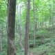 whitewater-memorial-state-park-2