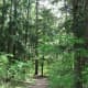 Trail 3