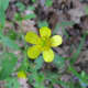 shakamak-state-park-2
