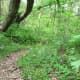 Along Trail 2
