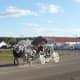 Horse and carriage ride at a fair.