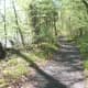 Views along the nature trail. Landsford Canal State Park -- Catawba, SC