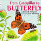 From Caterpillar to Butterfly (Let's-Read-and-Find-Out Science, Stage 1) by Deborah Heiligman 