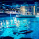 top-10-tourist-attractions-in-dubai-places-you-must-visit