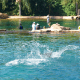 discovery-cove-2