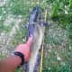 22&quot; Catfish that liked Bread for bait! 5/23/2014