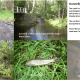 fishingbulletinboard