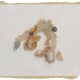 Two tapeworms amongst litter.