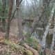 raven-rock-state-park-lillington-nc