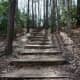 These wooden steps take you down to the Cape Fear River, then remember you must come back up!