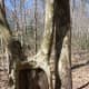 raven-rock-state-park-lillington-nc