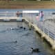Closer view of the fishing pier