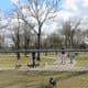 Small dog section of the dog park