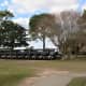 Many golf carts in Tom Bass Park