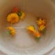 Rinse your flowers well under running water to remove any dirt or inhabitants and avoid extra unintended protein. Spin in salad spinner to dry.