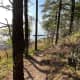 This is the little unmarked trail off Bald Eagle Overlook. Doesn't it look like something out of a story book.