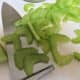 Thinly sliced celery