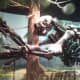 where-to-find-dinosaur-bones-in-raleigh-north-carolina-museum-of-natural-science