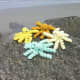 Baby octopus in yellows or greens.
