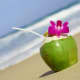 puerto-vallarta-restaurant-reviews