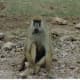 africa-kenya-beach-holiday-masai-mara-safari-adventure