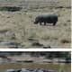 africa-kenya-beach-holiday-masai-mara-safari-adventure