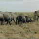 africa-kenya-beach-holiday-masai-mara-safari-adventure