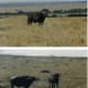 africa-kenya-beach-holiday-masai-mara-safari-adventure