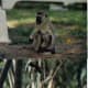africa-kenya-beach-holiday-masai-mara-safari-adventure