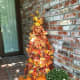 Fall tree from a tomato cage